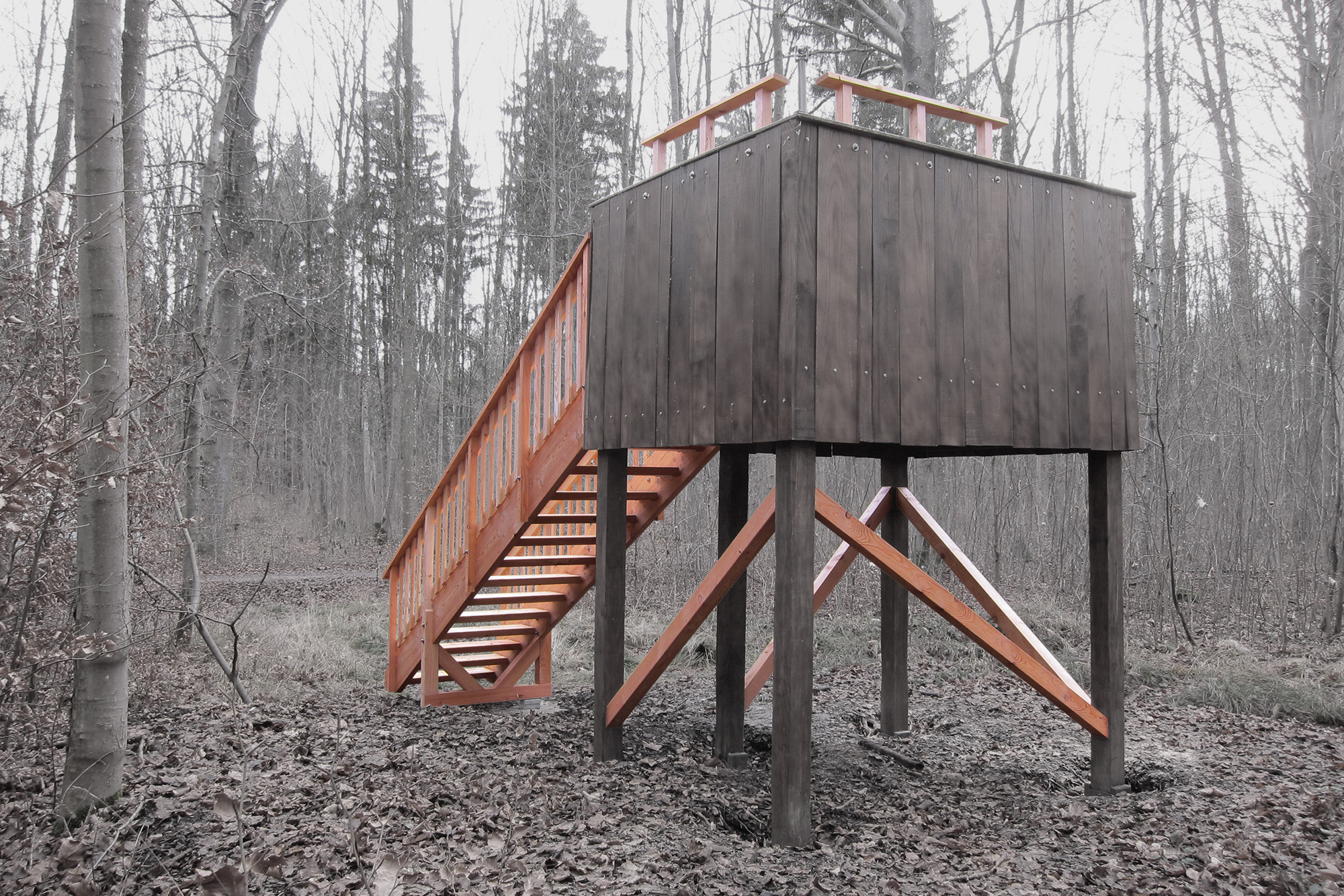 Wildtierturm - Atelier Ralf Erben - Bauwerke aus Holz